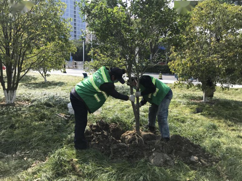 苗圃场：绿色生态的前沿阵地